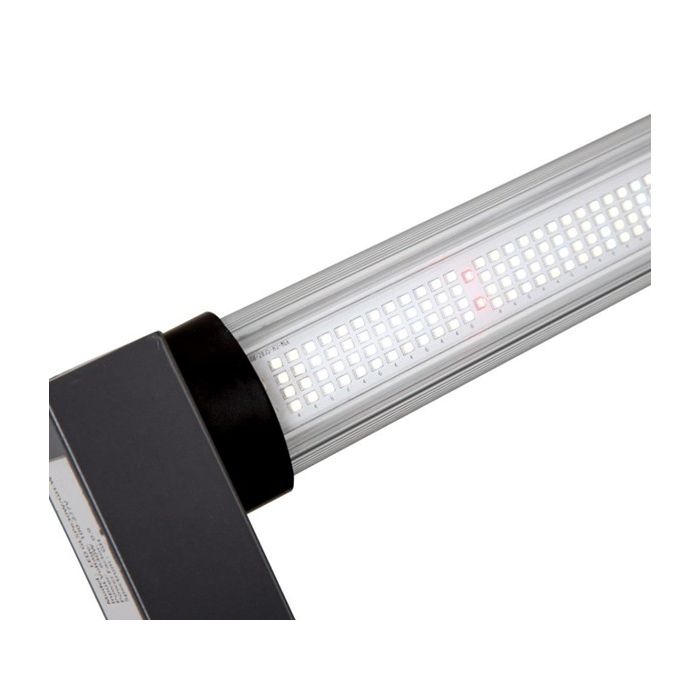 GIB Lighting LED FS630 Fixture - RSA Plug
