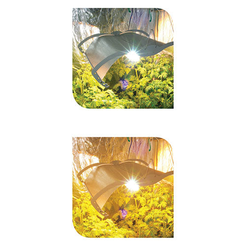 LUMii Growroom Lenses