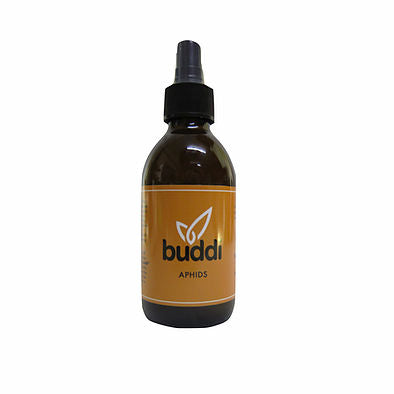 Buddi Spray - Aphids