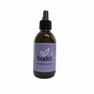Buddi Spray Powdery Mildew