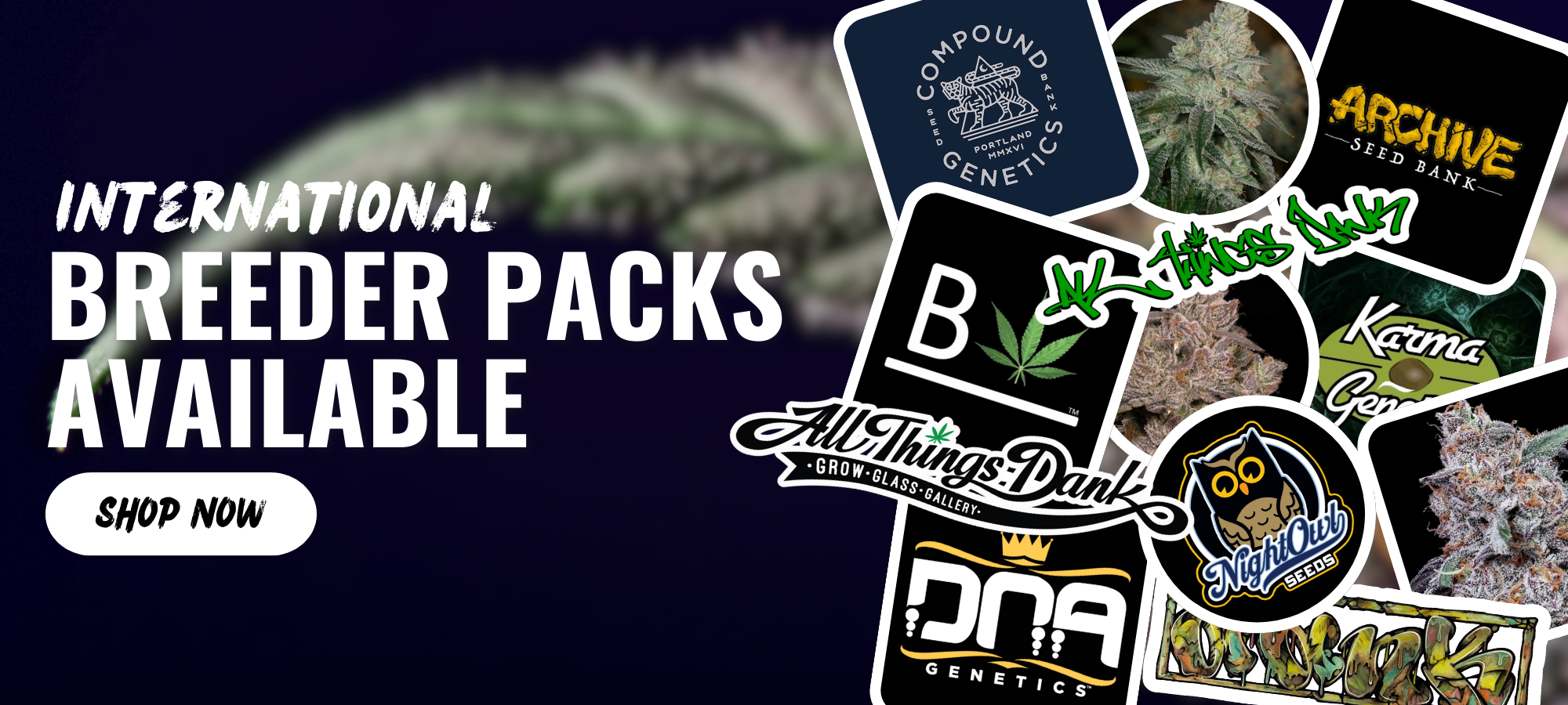 All Things Dank_ Stock available on International Breeder Seeds_Genetics_Cannabis