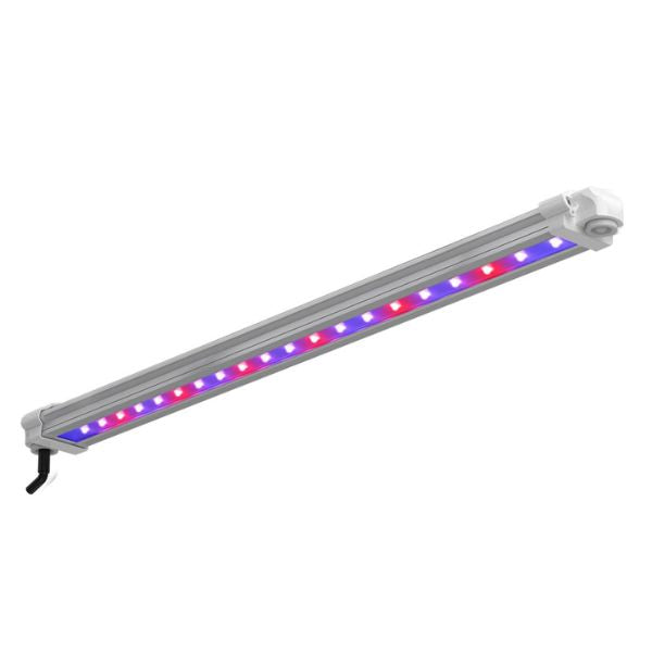 LUMii Black Bar 30w UV/FR LED - RSA Plug – All Things Dank