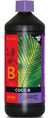 atami_bcuzz_coco_b_1l