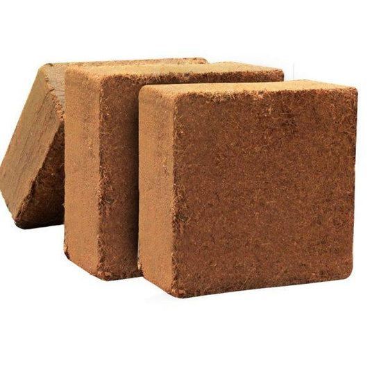 Coco Peat Brick