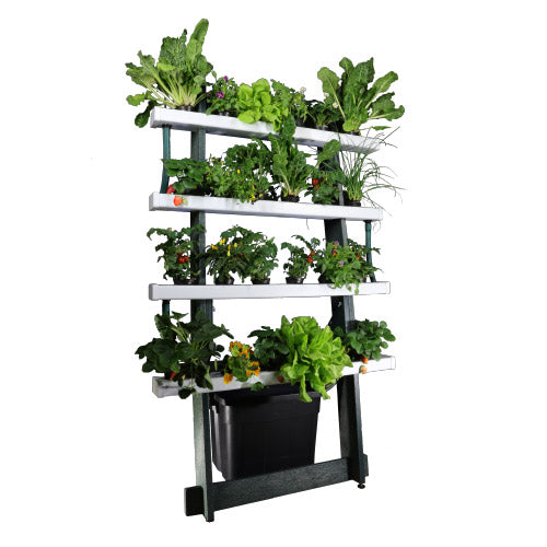 Home Hydroponic System