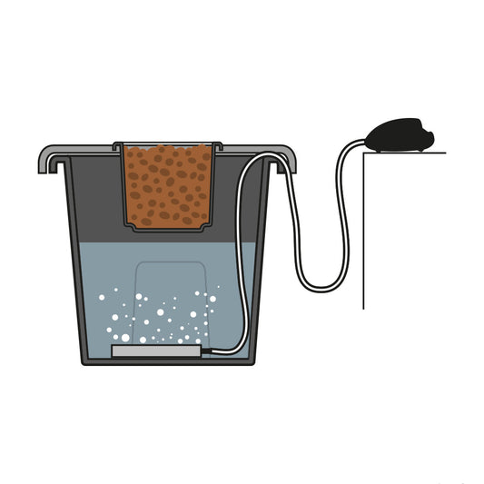 The PLANT!T aeros is a Deep Water Culture system best suited for short term and seasonal cropping plants.