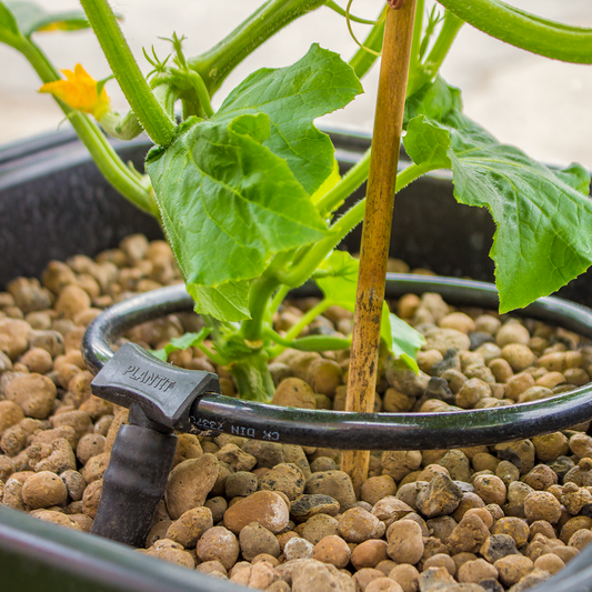 PLANT!T Watering Ring