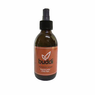 Buddi Spray - Fungus Nats