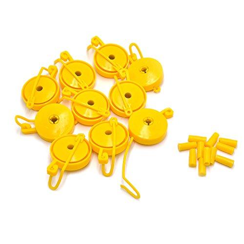 Plant Yoyo 12 pack